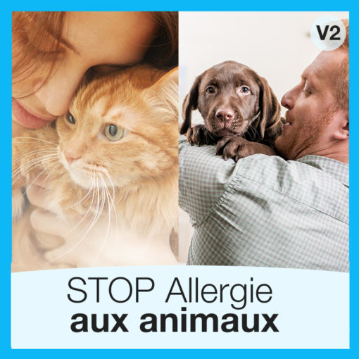 stop-allergie-animaux-chat